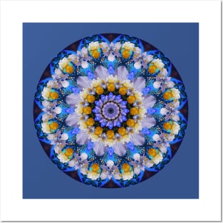 Mandala Magic - Daily Focus 7.26.2014 Posters and Art